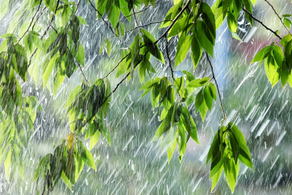 rainy_day.jpg